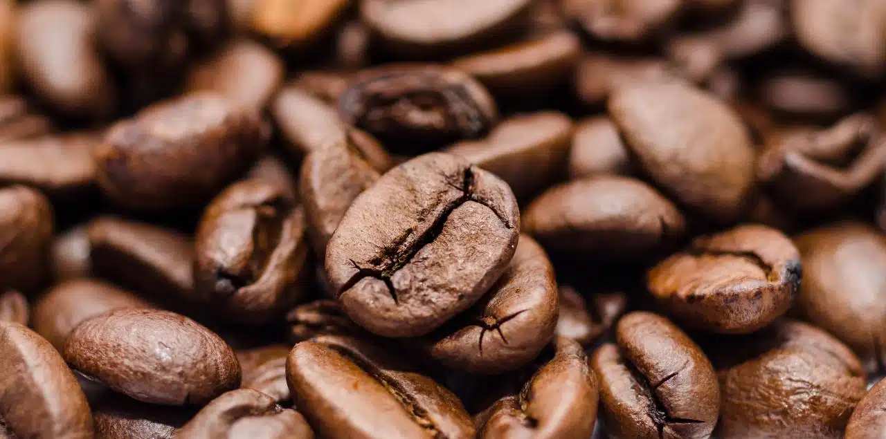Les graines du café
